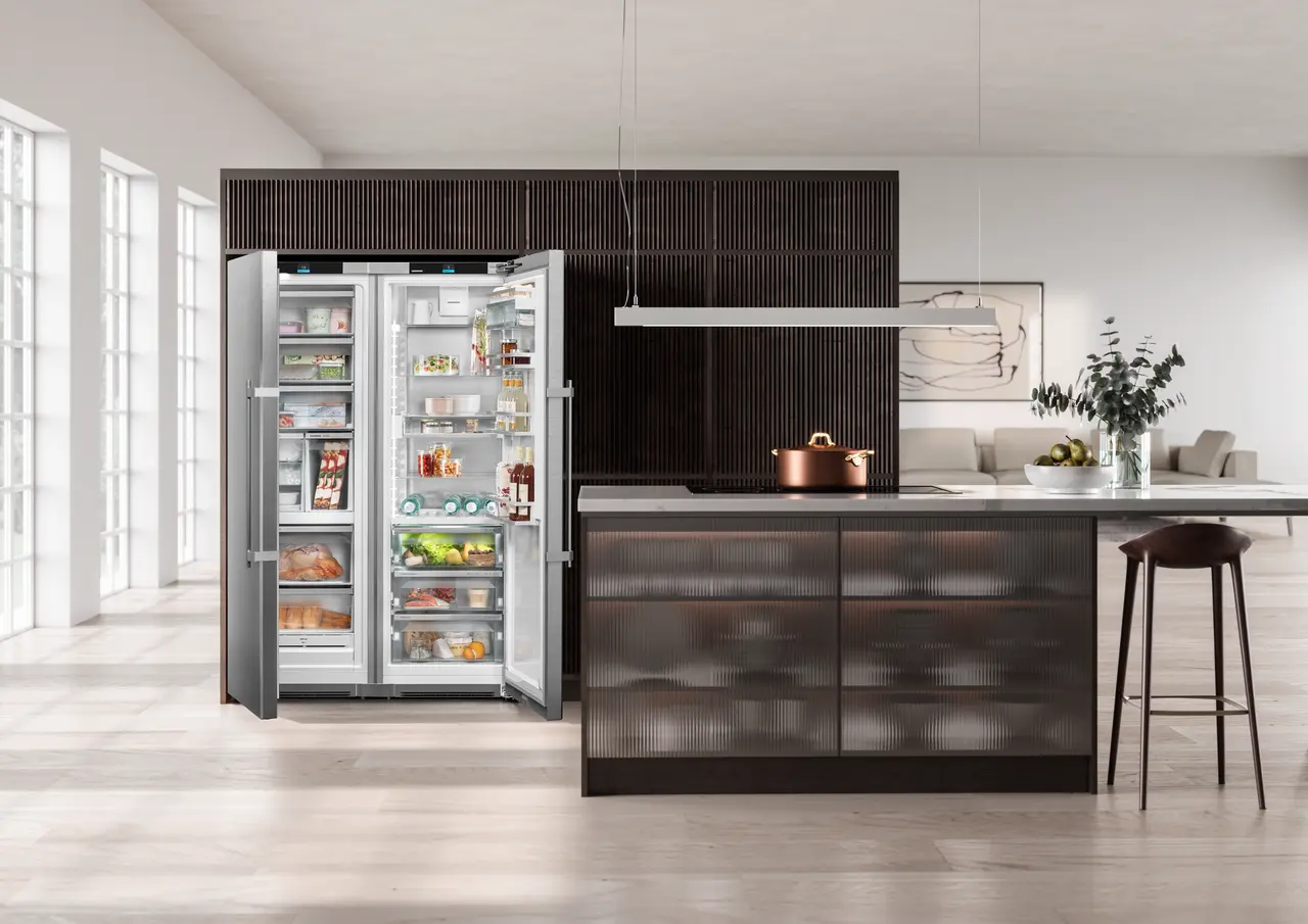 XRFsdh 5265 Side-by-Side Combination Fridge - Image 9